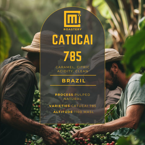 Fazenda Um - Catucai 785