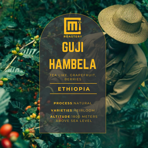 Ethiopia Guji Hambela Debaye