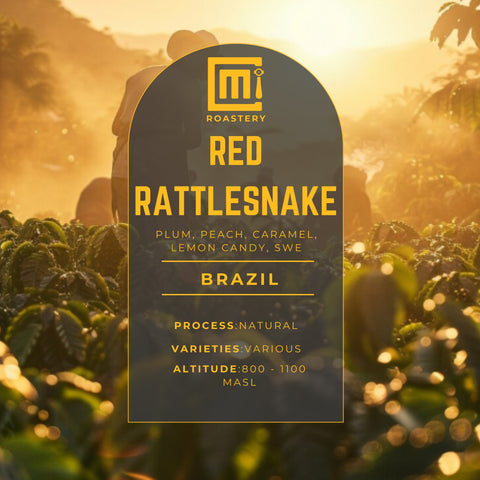 Brazil -  Red Rattlesnake