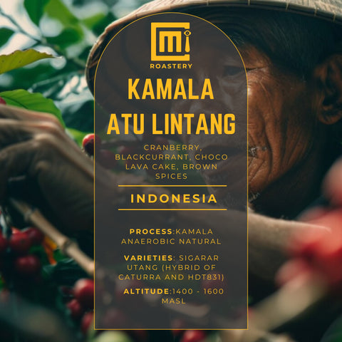 Indonesia Kamala Atu Lintang - Central Aceh