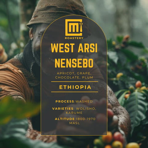 Ethiopia - West Arsi Nensebo