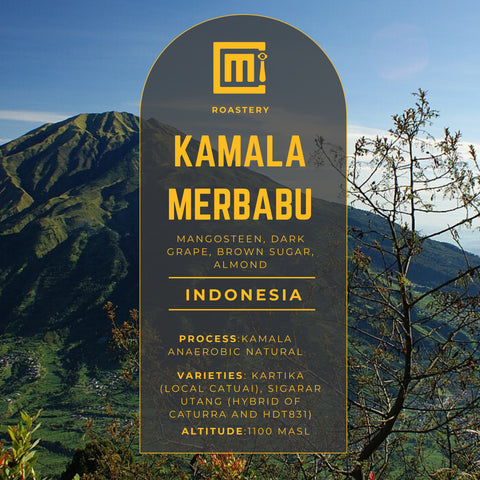 Indonesia Kamala Merbabu - Tosoro Central Java