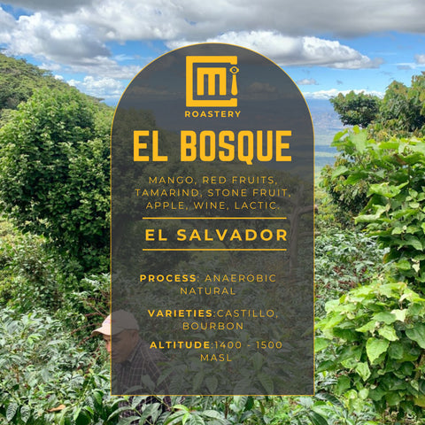 El Salvador - El Bosque
