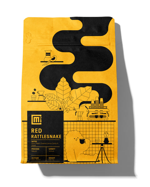 Brazil -  Red Rattlesnake