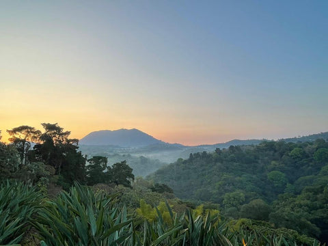 El Salvador El Cocal