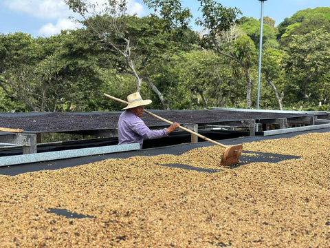 El Salvador El Cocal