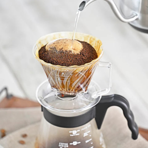 هاريو بيجاسوس منقط القهوة 01