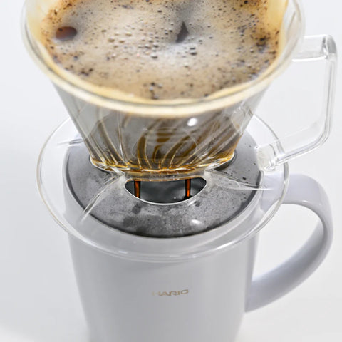 هاريو بيجاسوس منقط القهوة 01