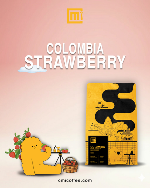 Colombia Strawberry Coffee | Elkin Guzman El Mirador