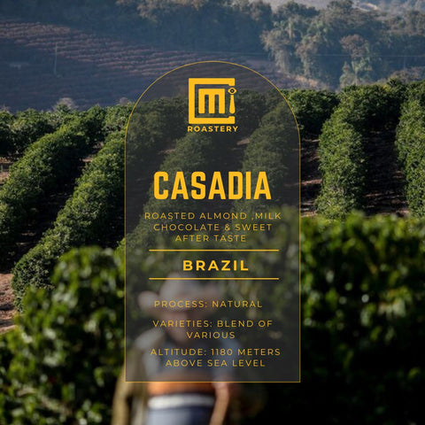 Brazil CASADIA