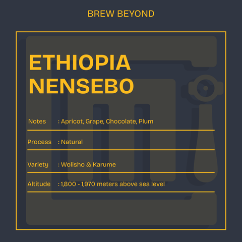 Drip box - Ethiopia - Nensebo - Wolisho & Karume