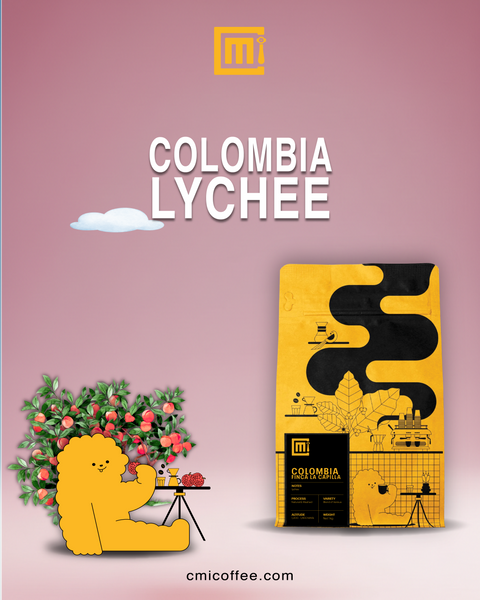 Colombia Lychee Co-Fermented Coffee | Finca La Capilla