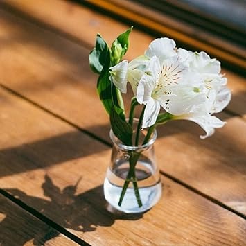 HARIO CP-100 Conical Pitcher, Crafts Science, Capacity: 3.4 fl oz (100 ml), Made in Japan, Transparent